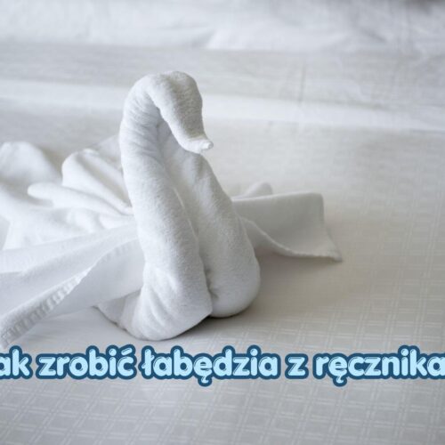 Jak zrobić łabędzia z ręcznika – instrukcja krok po kroku